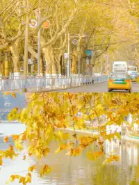 反向旅行之遵義，這座被低估的城市...