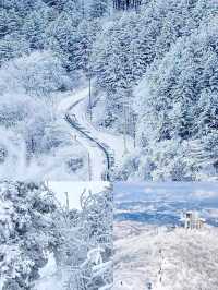 平昌郡：魅力匯聚的韓式風情勝地
