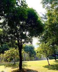 南湖公園，夢幻般的美景等你來