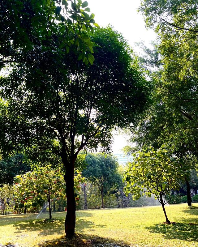 南湖公園，夢幻般的美景等你來