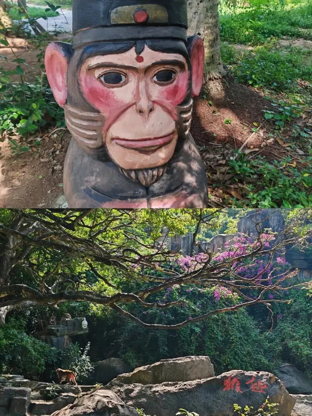南洲猿島 | 現実版「花果山」、急げ！