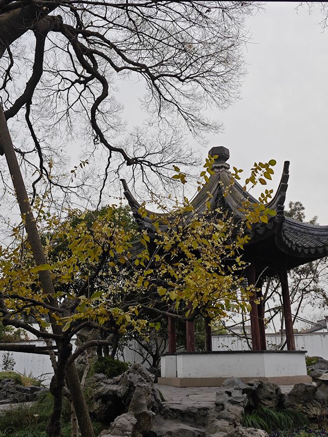 五峰園-蘇州人少景美小眾園林拍照打卡攻略