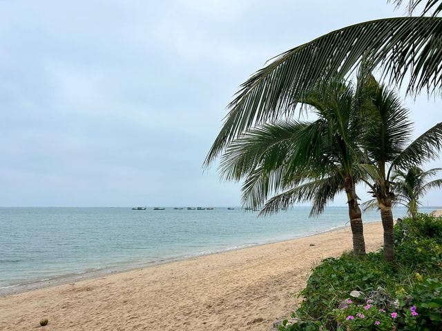 廣州湛江，南極村旅遊攻略。
