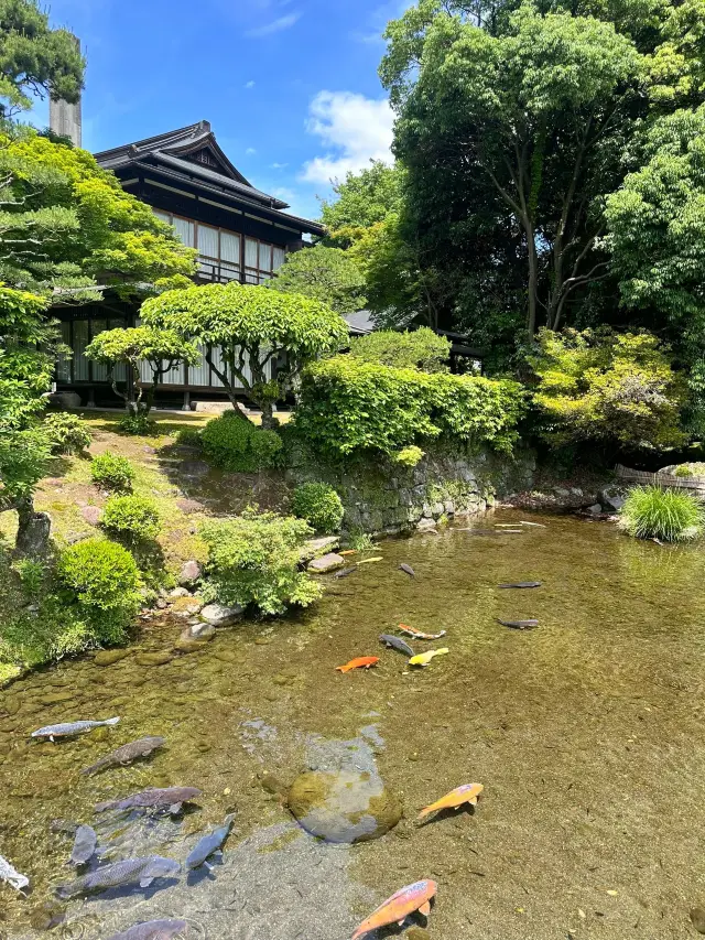 6日日本行 泡溫泉 給心情放個假