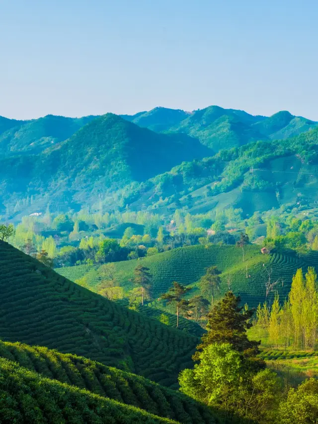 信陽過年遊｜超讚美景等你探