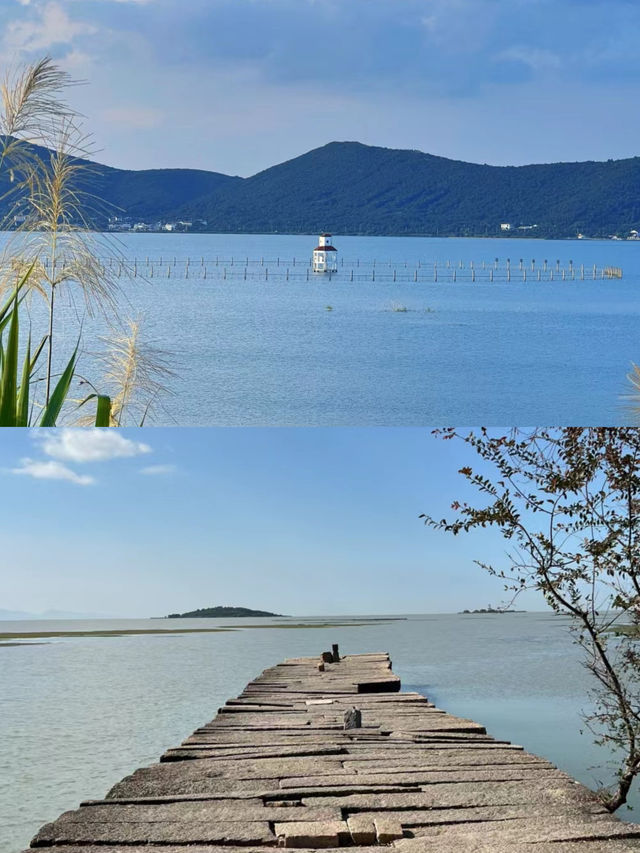 上海自駕1.5h，春節鬆弛感寶藏民宿
