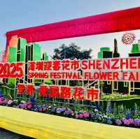 逛逛深圳2025迎春花市@羅湖愛國路花市
