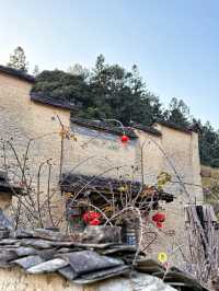 被福建這座「現實版桃花源」美哭我直接哇出來