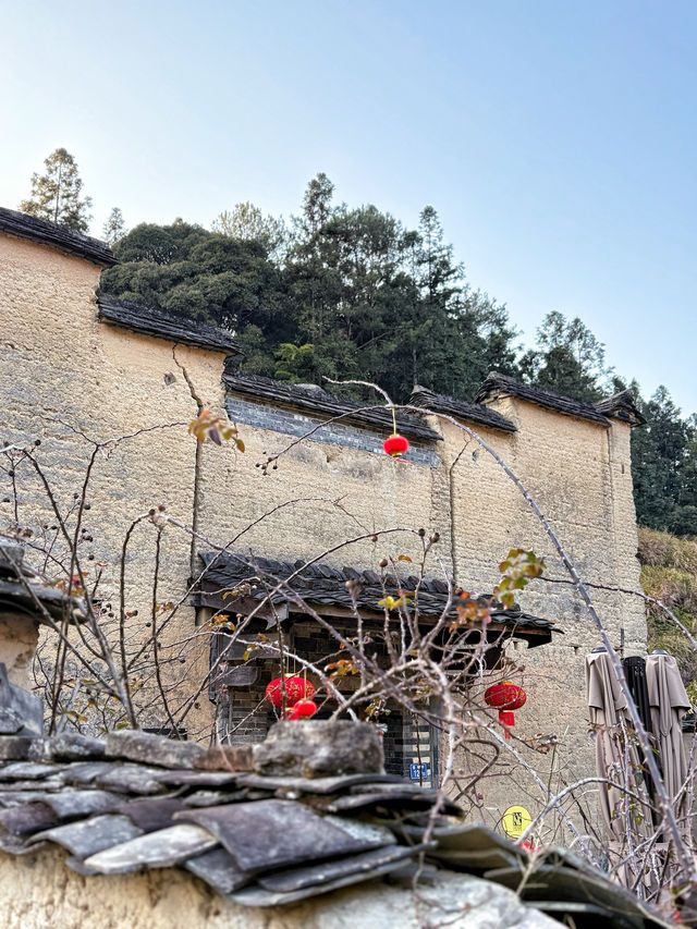 被福建這座「現實版桃花源」美哭我直接哇出來