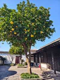 知行合一探尋先賢足跡