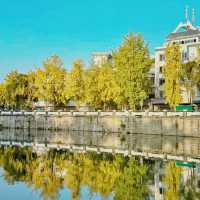 "你知道百花潭公園的這些隱藏景點嗎？來一趟絕對不後悔！"