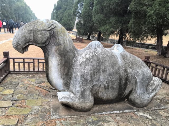 明顯陵
