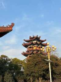 南海禪寺亞洲最大的佛寺