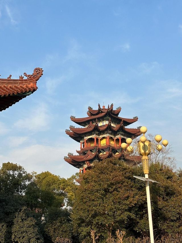 南海禪寺亞洲最大的佛寺