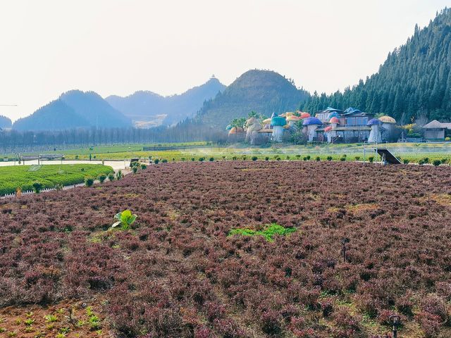 貴州醇景區春日之行