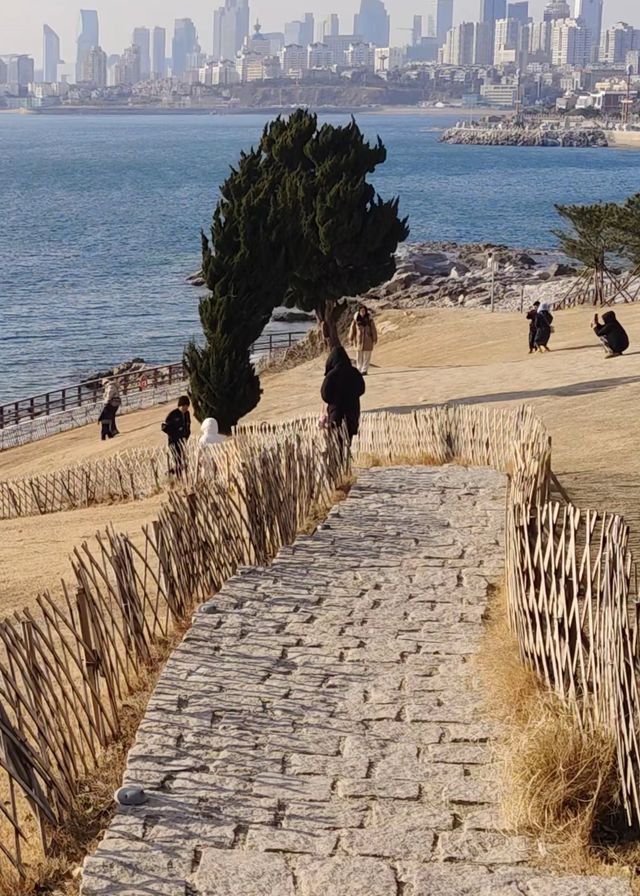 青島3天2夜窮遊攻略|人均500玩到爽!附0元拍照神地 青島3天2夜窮遊攻略|人均500玩到爽!附0元拍照神地