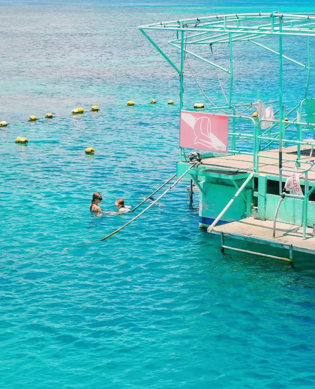 Dive into a Blue Wonderland | Guam Diving Guide to Unlock a Dreamy Underwater World