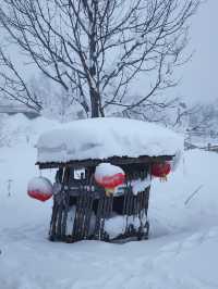 中國雪鄉的魔幻狗熊嶺