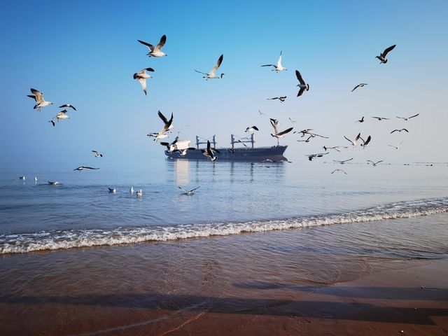 冬季到威海來看海