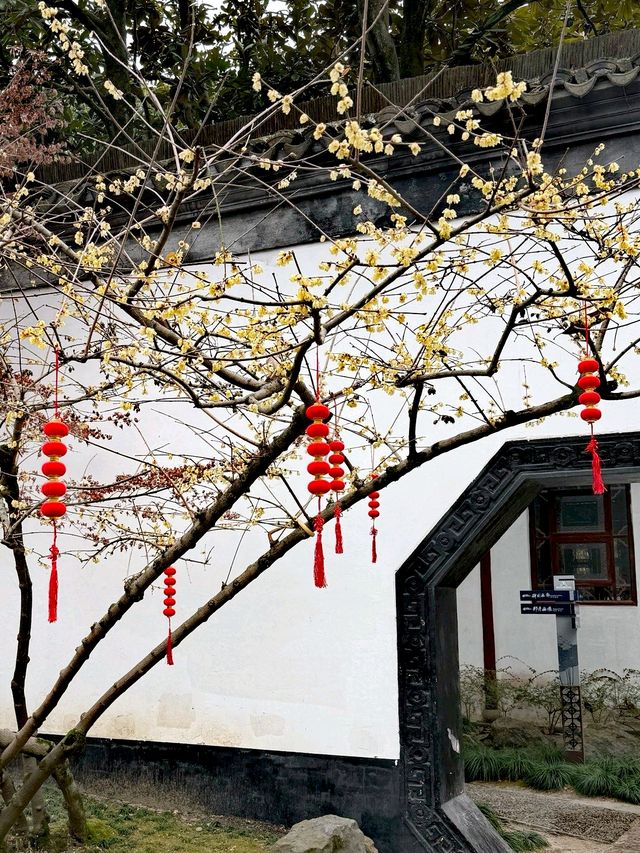 滬上藏古園，驚艷不遜姑蘇！