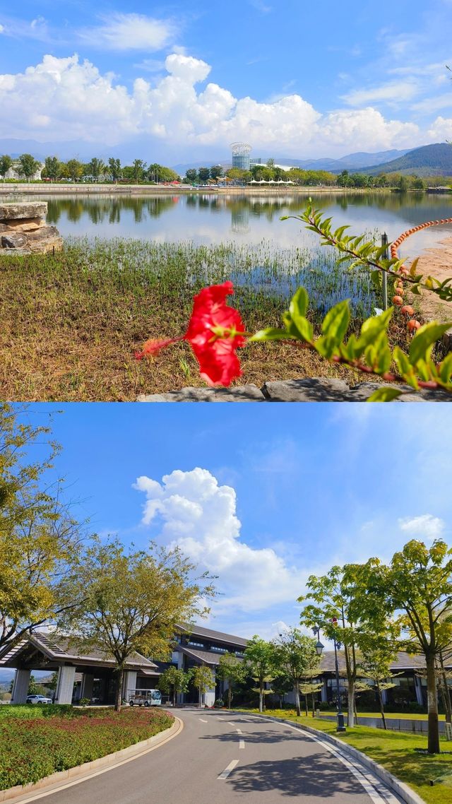 雲南·有山有水有美食卻沒什麼人的好地方始