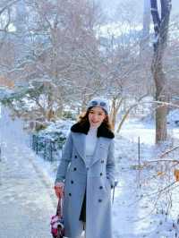 雪後的中央公園太美啦——附公園遊玩最佳路線