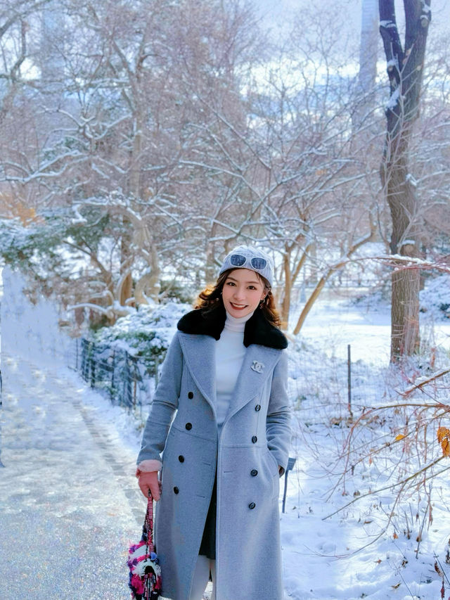 雪後的中央公園太美啦——附公園遊玩最佳路線