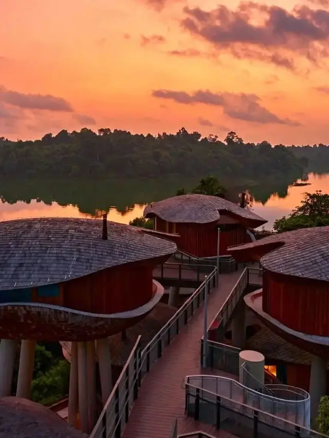Can you stay at Mandai Rainforest Wildlife Sanctuary in Singapore?