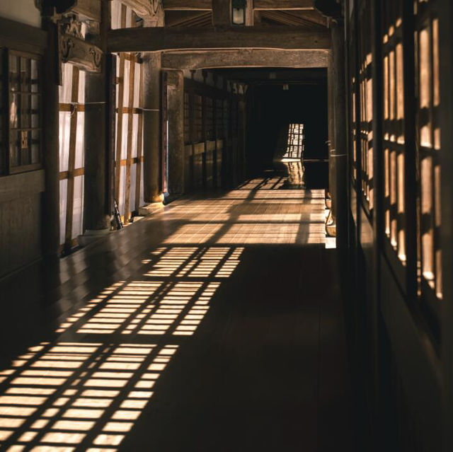 🇯🇵福井旅行｜超脱塵世永平寺