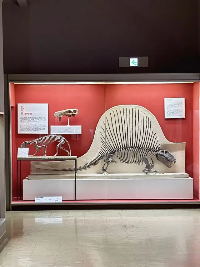 自然之書：漫步大阪的時光足跡