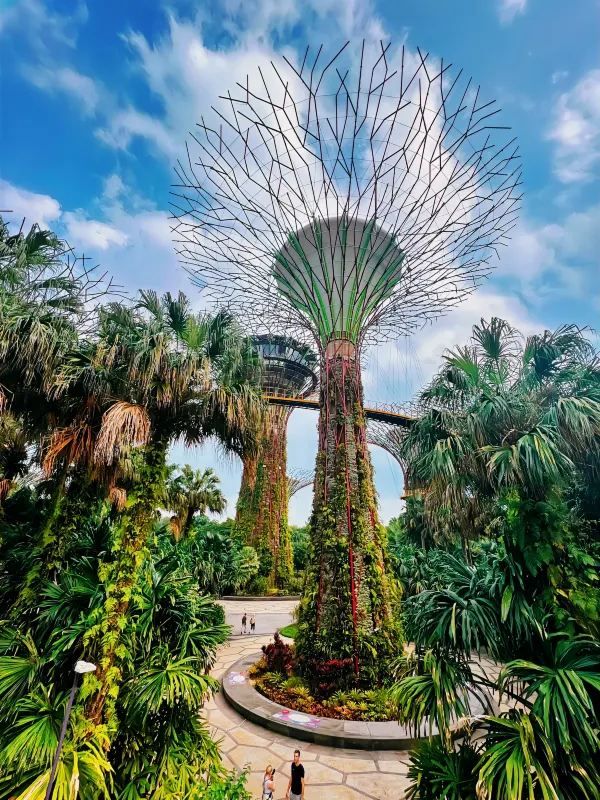 Explore Singapore's Gardens by the Bay