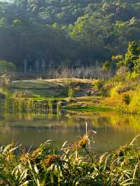 📍深圳｜恩上濕地公園👉週末吸氧好去處