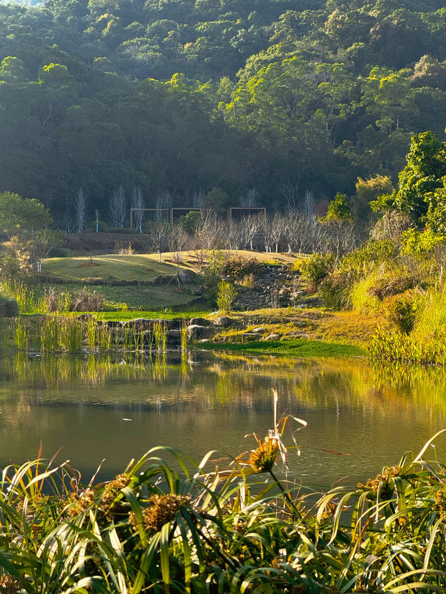 📍深圳｜恩上濕地公園👉週末吸氧好去處