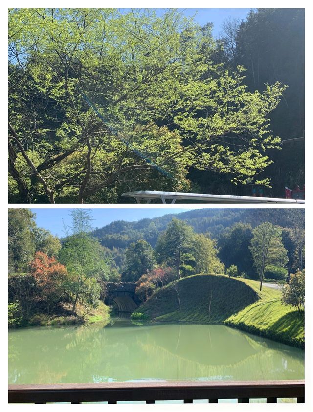 被瘋狂追問！江西宜春銅鼓縣春日療癒之旅！