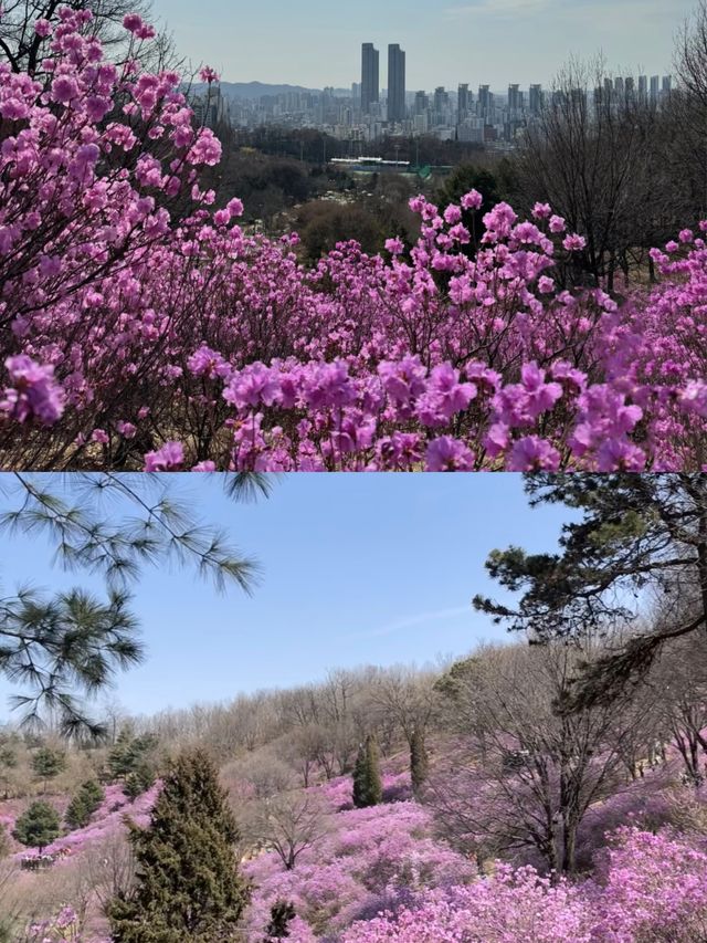 富川漫遊記：打卡影視地 大快朵頤五花肉