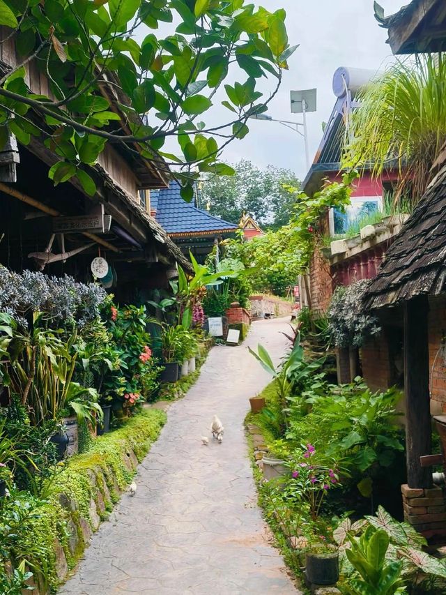小長假帶全家來景洪5天 旅行攻略必備