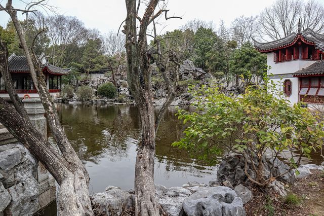 穿越在珍珠塔的後花園