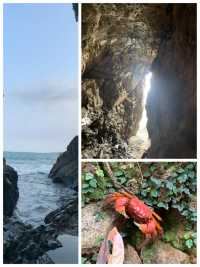 宮崎雙日遊：和風韻味，悠然漫步