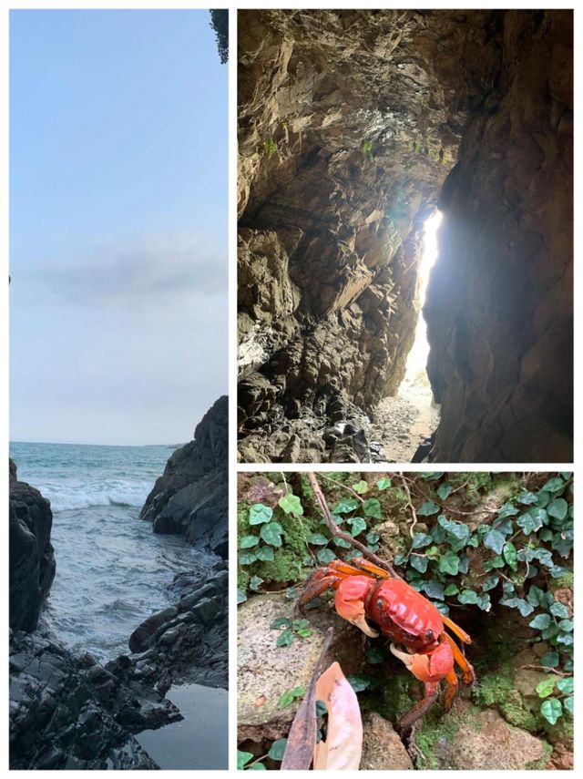 宮崎雙日遊：和風韻味，悠然漫步