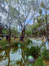 深圳版莫奈花園又有新搞作，打卡一流