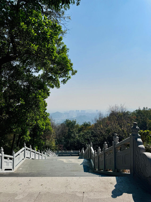 新會圭峰山｜逃離都市吸氧計劃