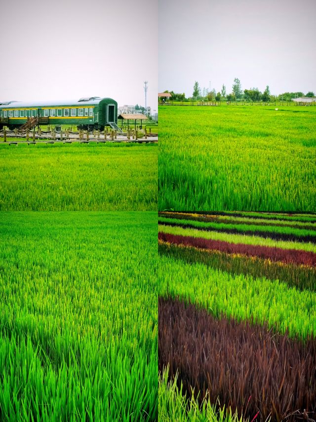 昆明沙堤村，闖入油畫世界