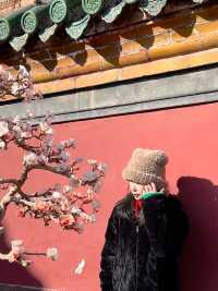 瀋陽兩天一夜拍照打卡大集合！秒出大片！