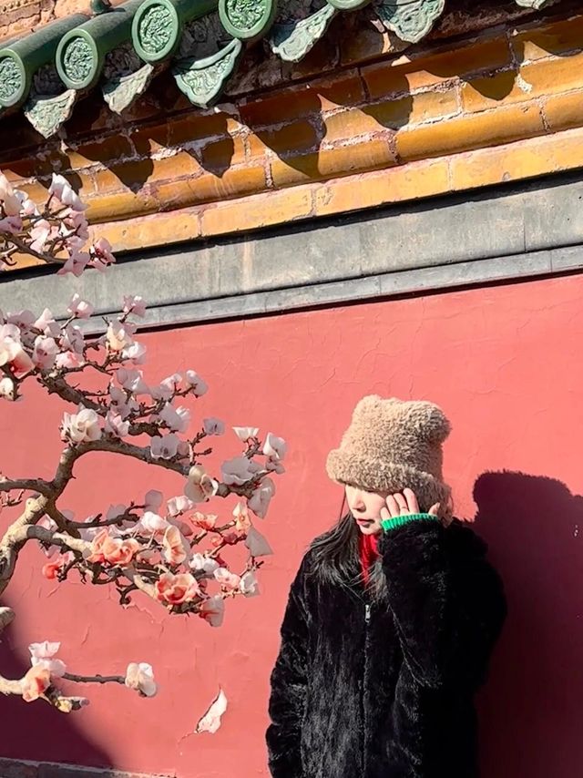 瀋陽兩天一夜拍照打卡大集合！秒出大片！