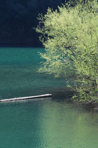 Shangchunshan Mountain Hike | Not Grueling, but Gorgeous