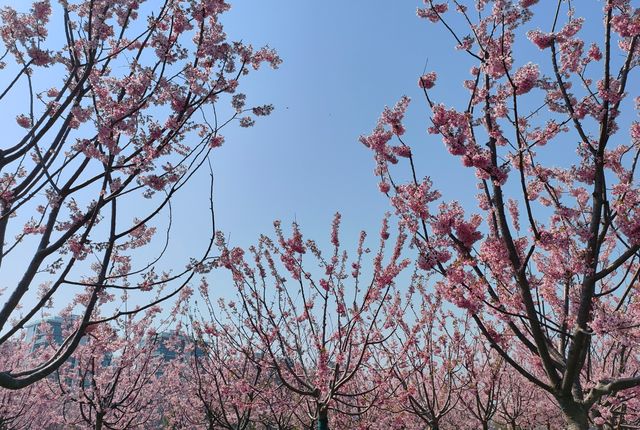 春分踏青到前灘