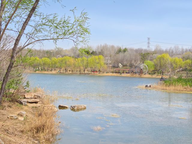 鄭州，滎陽有一個免費的適合「撒野」的公園