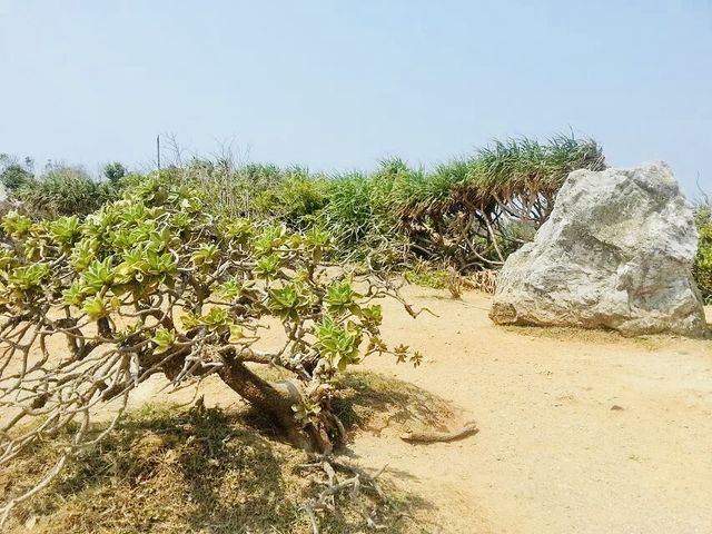 盤點寶島台灣省南端公園——值得一遊！