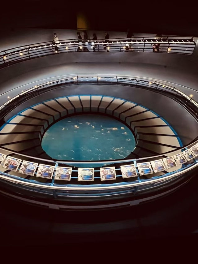 Kennedy Space Center: A Gateway to Space Exploration