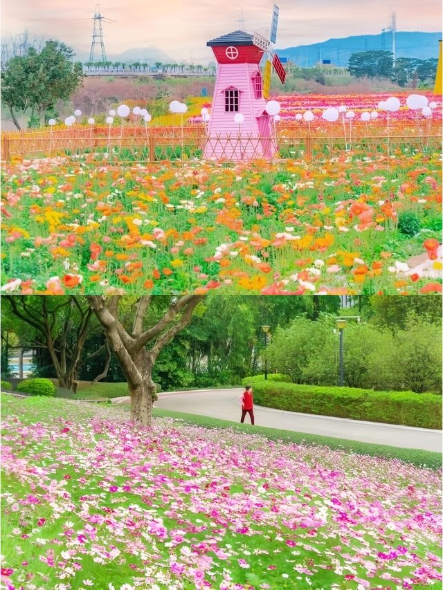 【東莞一日遊攻略】香遇百花園の松山湖公園！